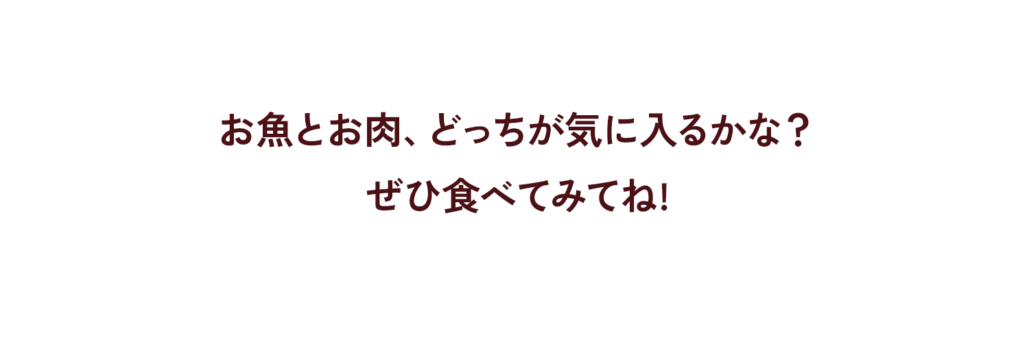 お魚とお肉、どっちが気に入るかな？ぜひ食べてみてね!