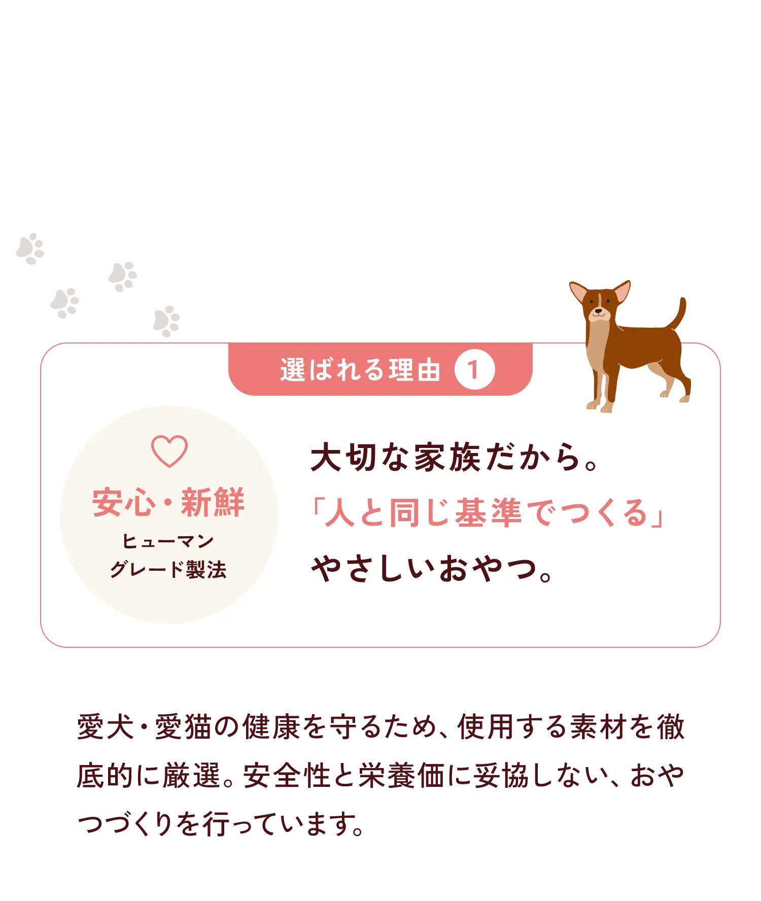 選ばれる理由①