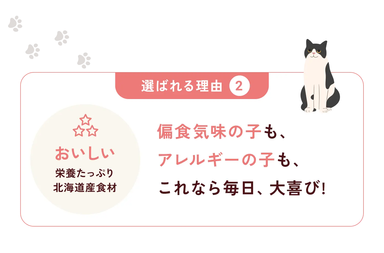 選ばれる理由② 偏食気味の子も、アレルギーの子も、これなら毎日、大喜び!