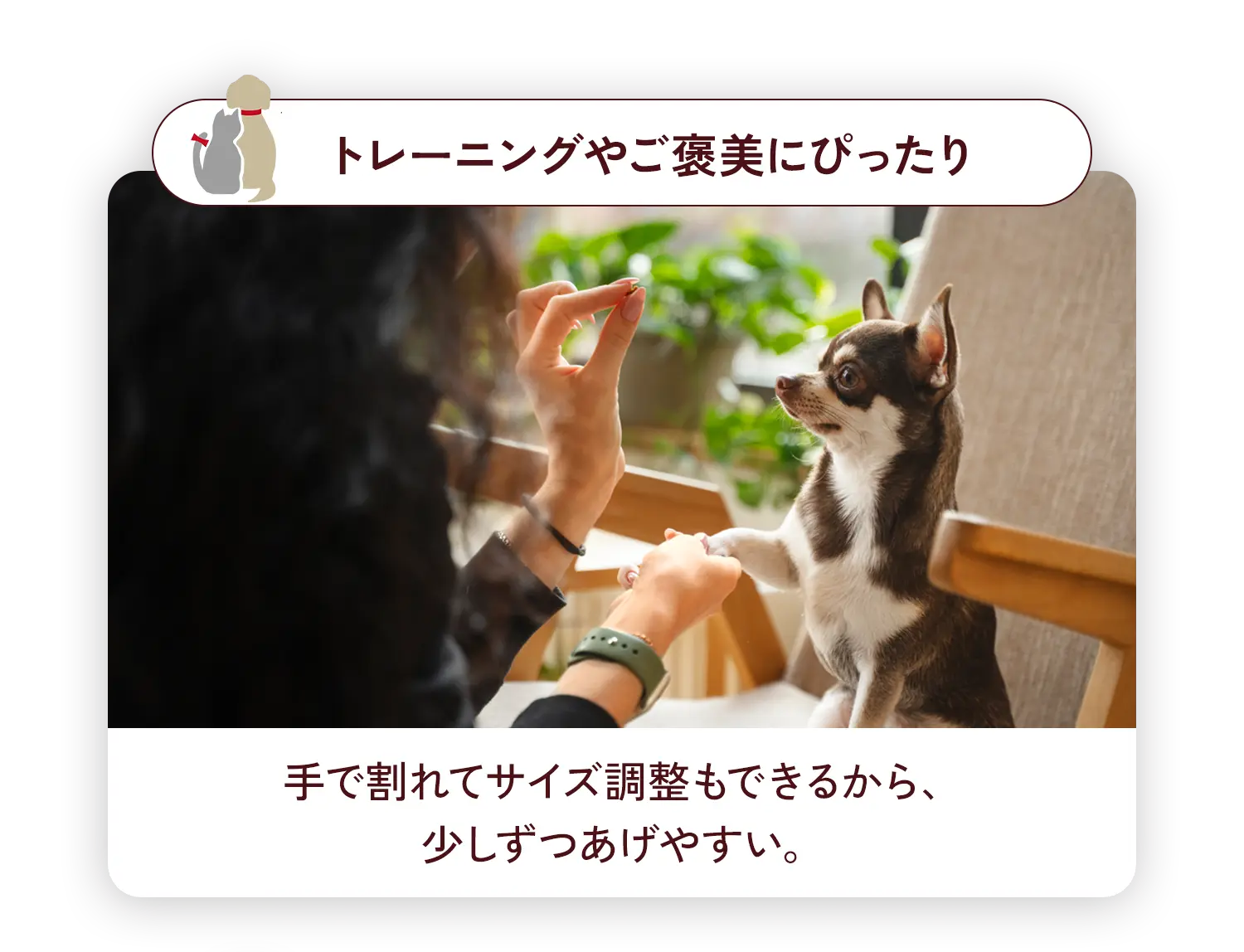 トレーニングやご褒美にぴったり 出て割れてサイズ調整もできるから、少しずつあげやすい。