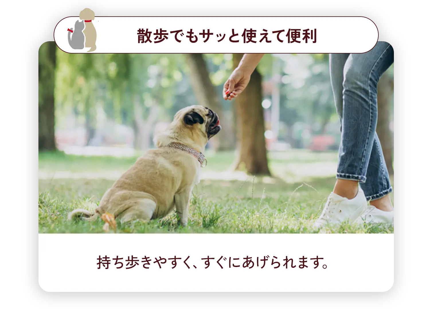 散歩でもサッと支えてベンチ 持ち歩きやすく、すぐにあげられます。