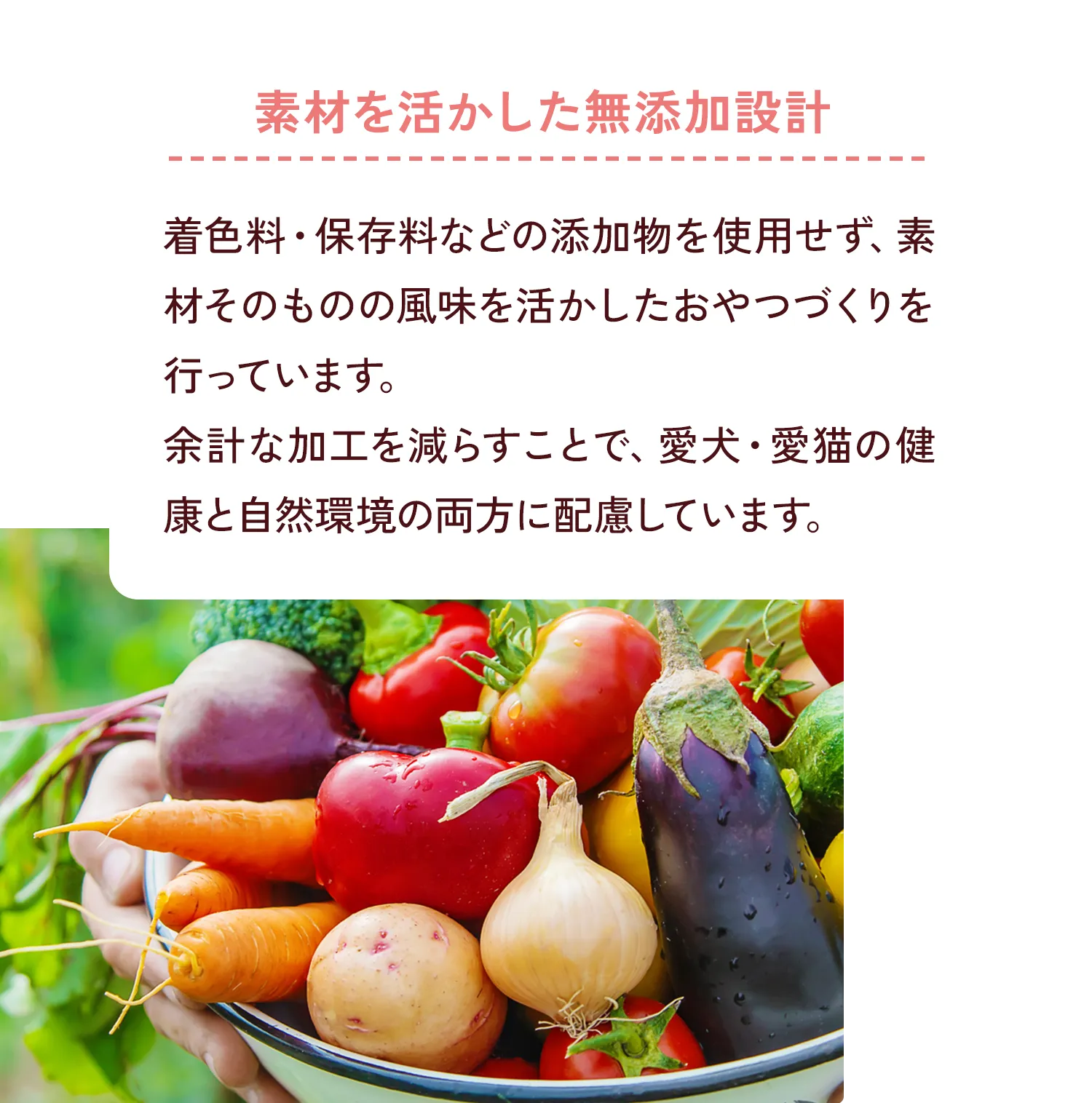 素材を活かした無添加設計