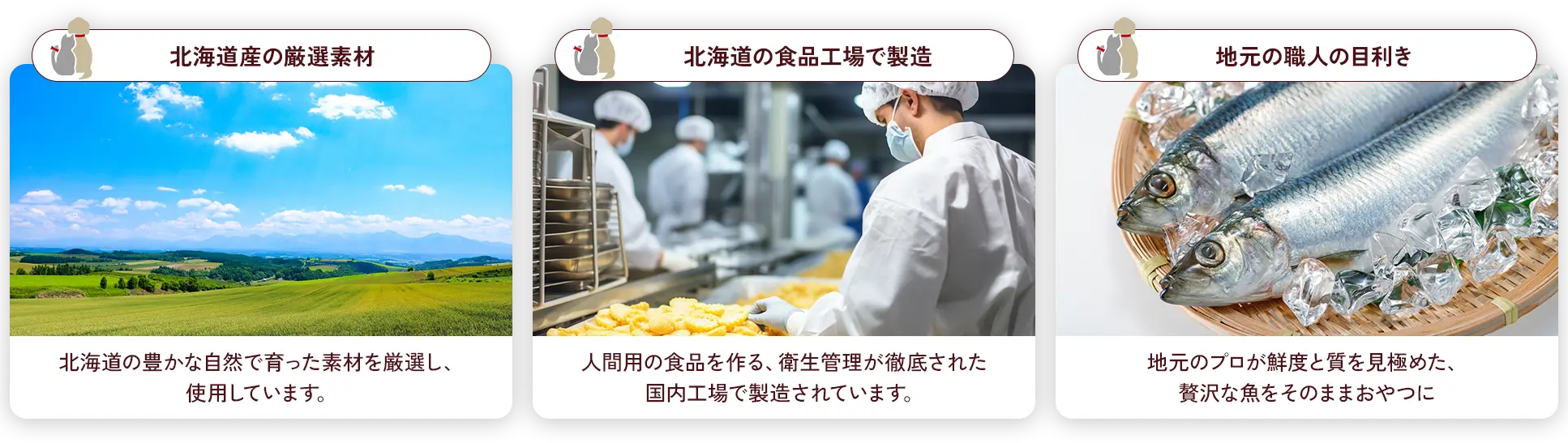 選ばれる理由①