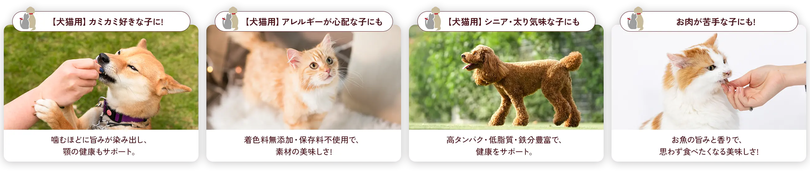 選ばれる理由④